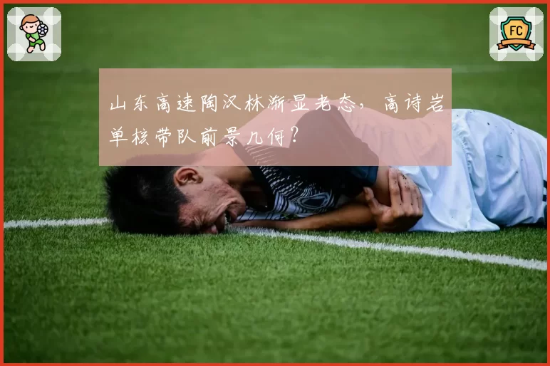 山东高速陶汉林渐显老态,高诗岩单核带队前景几何?