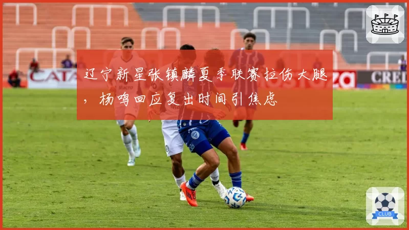 辽宁新星张镇麟夏季联赛拉伤大腿，杨鸣回应复出时间引焦虑